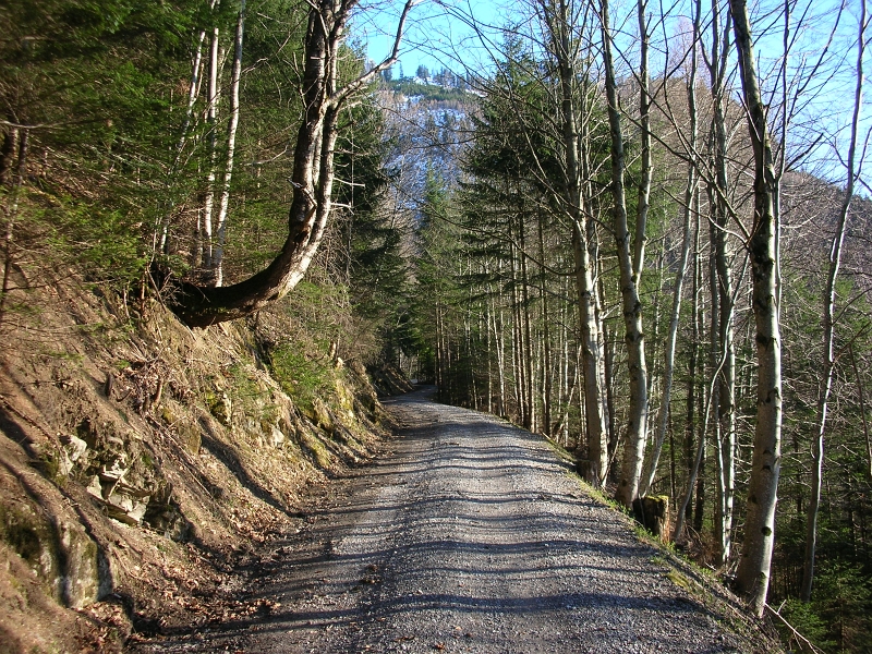 Schneefleck vor Gafadura links Weg 06_04_2010 (4).JPG